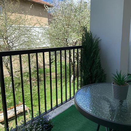 Rose Apartment Piatra Neamţ Exterior foto