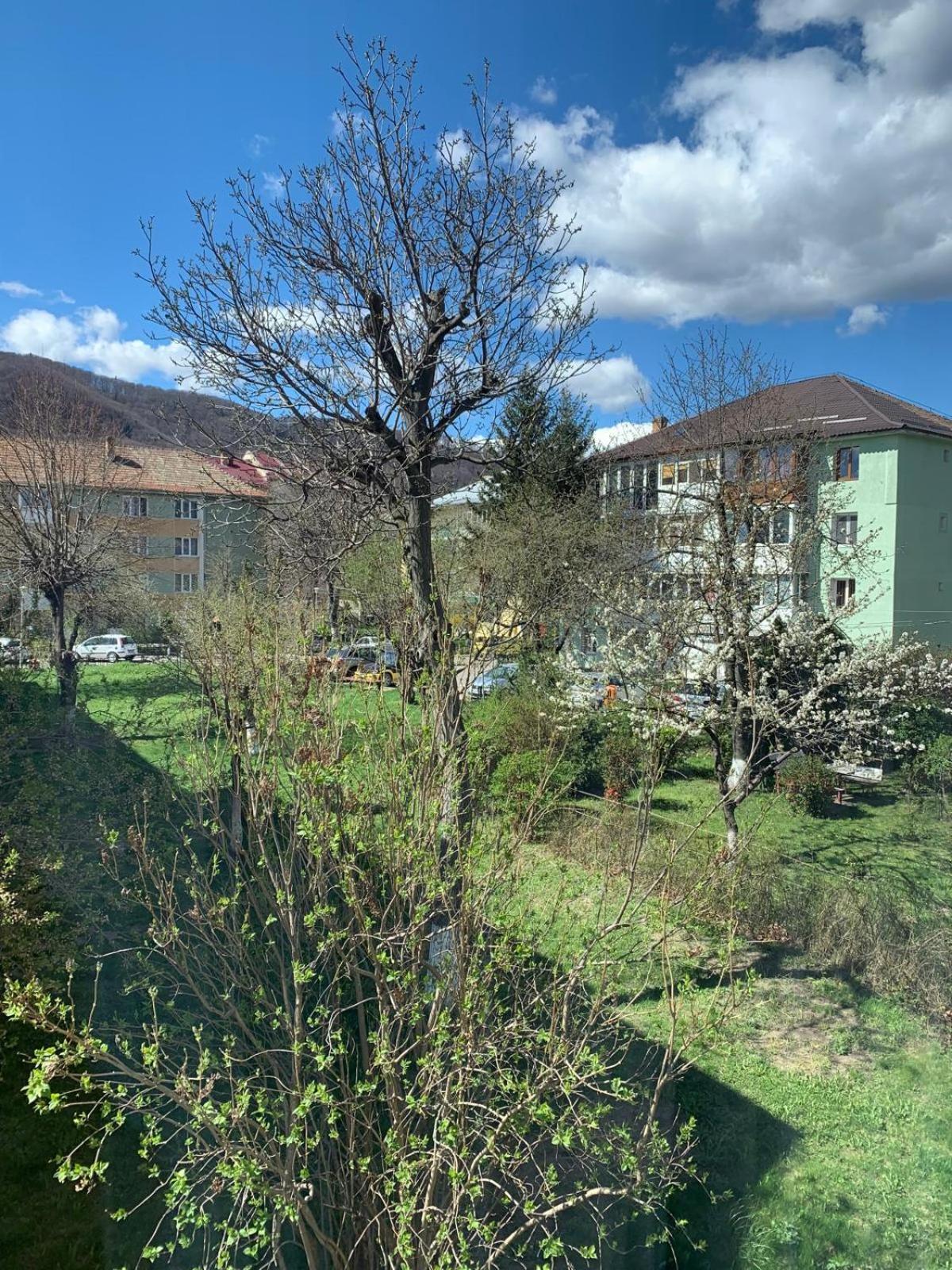 Rose Apartment Piatra Neamţ Exterior foto